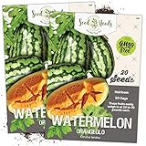 Seed Needs, Orangeglo Watermelon (Citrullus lanatus) Twin Pack of 20 Seeds Each photo / $4.65 ($0.23 / Count)