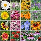 All Perennial Wildflower Seed Mix - 1/4 Pound, Mixed, Attracts Pollinators, Attracts Hummingbirds, Easy to Grow & Maintain photo / $14.25