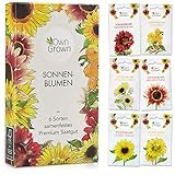 Sonnenblumen Samen Set: Premium Sonnenblumen Saatgut mit 6 Sorten schöner Sommerblumen Samen - Garten Geschenk Anzuchtset - Blumen für Bienen - Blumensamen Sonnenblumen - Saatgut Blumen von OwnGrown foto / 6,35 € (1,06 € / stück)