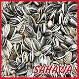 SAHAWA® Sonnenblumenkerne gestreift 25 kg, Vogelfutter, Winterfutter foto / 37,17 € (1,49 € / kg)