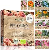 valeaf BIO Blumen Samen Set I 12 Sorten Blumensamen I Premium Samen Blumen I Pflanzensamen Set mit Wildblumensamen I Saatgut Blumen I Blumensaat I Blumen Samen Balkon I ideales Blumensamen Geschenk foto / 12,99 € (0,93 € / stück)