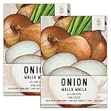 Seed Needs, Walla Walla Onion Seeds for Planting (Allium cepa) Twin Pack of 450 Seeds Each Non-GMO Long Day photo / $8.85