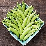 David's Garden Seeds Pea Snap Cascadia 4567 (Green) 100 Non-GMO, Open Pollinated Seeds photo / $3.45