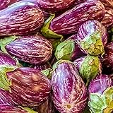 Listada de Gandia Aubergine Samen für ca. 20 Pflanzen - lavendelfarbige, gestreifte Früchte foto / 1,59 € (0,08 € / stück)