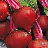 Bulk Organic Detroit Dark Red Beet Seeds Non GMO (1 Lb) photo / $16.95