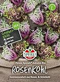 Kohlsamen - Rosenkohl Flower Sprout Autumn Star von Sperli-Samen foto / 7,49 €