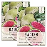 Seed Needs, Watermelon Radish (Raphanus sativus) Twin Pack of 500 Seeds Each Non-GMO photo / $7.99