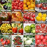 Set de Semillas de Tomate 16 x 10 semillas Tomate Mezcla 100% natural de semillas recogidas a mano de Portugal, variedades raras y antiguas, semillas con alto índice de germinación, jardín, balcón foto / 9,99 €