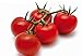 foto POMODORO CILIEGINO NERO 30 SEMI Pomodorino Dolce Alta Resa Black Cherry Tomato