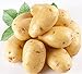 foto PlenTree 120 pezzi di patate Semi Antirughe nutrizione verde vegetale per il giardino domestico che pianta i semi di patate assorbendo la radiazione
