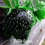 Nuovi semi dolce 100 Semi / Seeds Semi Borsa frutta nera fragola Bonsai Piante per la casa e giardino vaso da giardino fragole, # JQPRZP foto / EUR 14,97