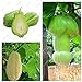 foto Impianti all'aperto giardino ornamentale zucca Chayote semi Bonsai Pianta in vaso Verde Frutta verdura sementi di alta nutrizione 10 pezzi