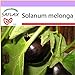 foto PLAT firm-SEMI SAFLAX - Melanzana - 20 semi - Solanum melonga