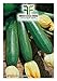foto 40 C.ca Semi Zucchino Ambassador Hybrid - Cucurbita Pepo In Confezione Originale Prodotto in Italia - Zucchine