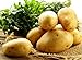 foto Bloom Green Co. 100pcs Giant & amp; I semi di patate viola anti-rughe Nutrizione verde vegetale per il giardino domestico di semina di piante di patate giardino rare: 7