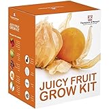 Juicy FRUTTA SEME Kit per far crescere SCATOLA REGALO DA Thompson & Morgan - 5 Fresh flavoursome FRUTTA to Grow ;Fragola,melone ,Rabarbaro ,Physalis & Pomodoro SEMI foto / EUR 12,60