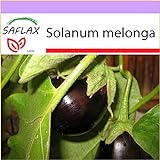 SAFLAX - Melanzana - 20 semi - Solanum melonga foto / EUR 3,75