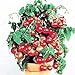 foto PLAT FIRM Germinazione dei semi PLATFIRM-50pcs cetriolo Semi all'ingrosso giapponese semi di cetriolo verdure e semi di frutta Per la casa vaso da giardino facile da coltivare cibo sano Cetr