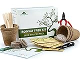 Kit albero bonsai, cresci il tuo albero bonsai a partire dal seme – Il set regalo include 5 varietà di alberi da piantare – Coltivazione al chiuso con istruzioni dettagliate foto / EUR 19,90