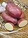 foto Pinkdose semi bonsai patata rossa di patate pelle 200 Empress Semi di ortaggi provenienti dalla Cina NO-OGM per la casa orto