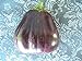 foto 10+ misti Semi della melanzana nero, Thai, Rosa, Chayo, Lungo, Casper, Florida e Altro