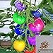 foto BigFamily 100Pcs Semi di pomodoro arcobaleno Semi di verdure bonsai colorati Home Garden Decor