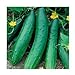 photo Garden Sweet Burpless Cucumber Seeds, Giant Cucumbers up to 45 cm long, 100+ Premium Heirloom Seeds, Hot Choice & Limited, (Isla's Garden Seeds),85% Germination Rates,Non Gmo Organic,Highest Quality