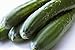 photo 50 Marketmore 76 Slicing Cucumber Seeds Cucumis Sativus with by RDR Seeds