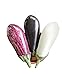 photo Homegrown Eggplant Seeds, 300 Seeds, Topsellers Eggplant