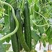 photo 20pcs Cucumber Vegetable Seeds, Organic Vitamin Suffolk Herbs Cucumber, for Salad