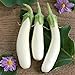 photo David's Garden Seeds Eggplant Casper SL222 (White) 50 Non-GMO, Heirloom Seeds