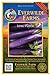 photo Everwilde Farms - 250 Long Purple Eggplant Seeds - Gold Vault Jumbo Seed Packet