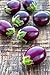photo Portal Cool Mini Bambino Eggplant 10 Seeds, Heirloom, Dwarf Plants, Never Bitter Fruits, Harves