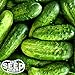 photo National Pickling Cucumber Seeds - 50 Seeds NON-GMO