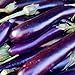 photo David's Garden Seeds Eggplant Long Purple SL111 (Purple) 50 Non-GMO, Heirloom Seeds