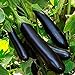 photo NIKITOVKASeeds - Eggplant - Aubergine Long-Pop - 400 Seeds - Organically Grown - Non GMO