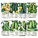 photo Seed Needs, Cucumber Seed Collection (8 Individual Packets) Non-GMO