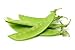 photo Sugar Snap Snow Peas, 50 Heirloom Seeds Per Packet, Non GMO Seeds, Botanical Name: Pisum sativum 'Macrocarpon Group', Isla's Garden Seeds