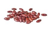 Bush Bean Red Kidney Bean Seeds photo / $9.99 ($19.98 / Ounce)