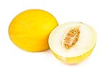 Canary Yellow Melon Seeds - Non-GMO - 2 Grams photo / $4.99
