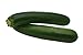 photo Black Beauty Zucchini Seeds - Non-GMO - 7 Grams, Approximately 60 Seeds