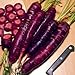 photo Purple Dragon Carrot 350 Seeds - Absolutely unique!