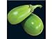 photo 25 APPLEGREEN EGGPLANT Green Fruit / Vegetable Solanum Melongena Seeds