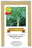 Markstammkohl - vergessenes Gemüse - Brassica oleracea - 2000 Samen foto / 1,95 €
