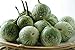 photo Thai Round Green Eggplant Seeds (50 Seed Pack)