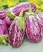 photo Exotic Listada de Gandia Eggplant Seed for Planting | 50+ Seeds | Ships from Iowa, USA | Non-GMO Exotic Heirloom Vegetables | Great Gardening Gift