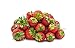 photo Seascape Everbearing Strawberry Bare Roots Plants, 25 per Pack, Hardy Plants Non GMO