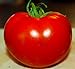 photo Celebrity Tomato 45 Seeds -Disease Resistant!