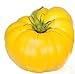 photo Graines de tomate, jaune Brandywine, tomates jaunes, tomates Heirloom non Ogm 50ct