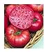 photo 75+ Mortgage Lifter Tomato Seeds- Heirloom Variety- by Ohio Heirloom Seeds